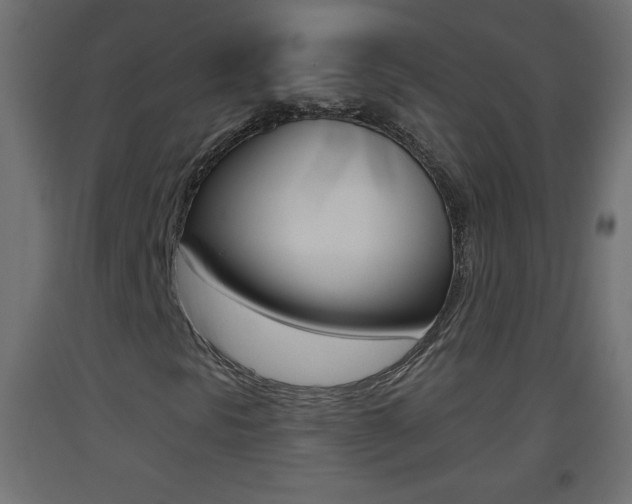 X0000093501297200710121034