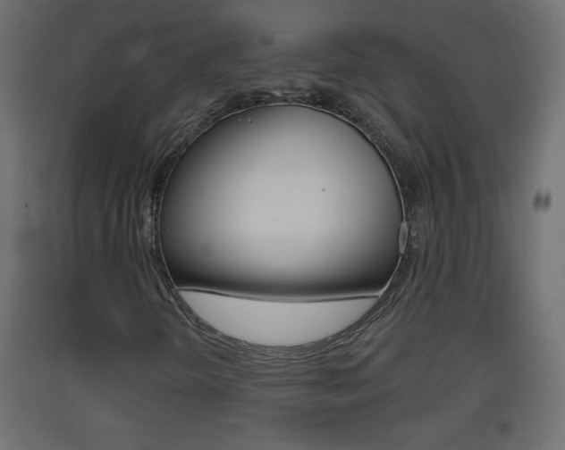 X0000093501298200710121034