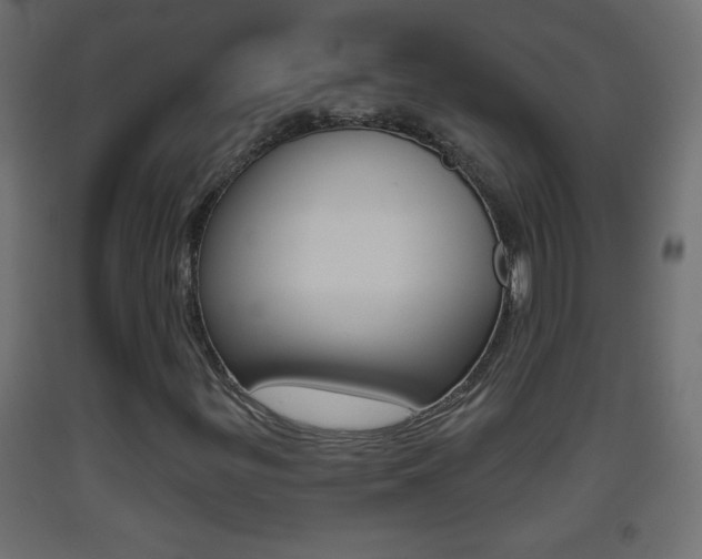 X0000093501299200710121034