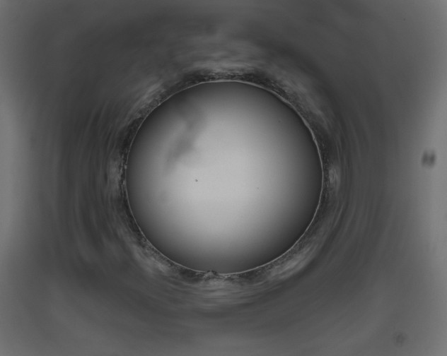 X0000093501300200710121034