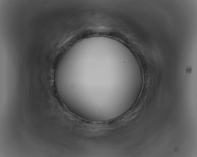 X0000093501301200710121034