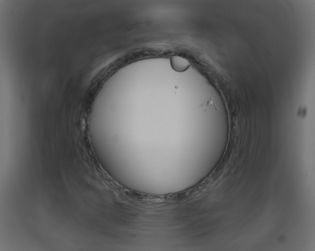 X0000093501302200710121034