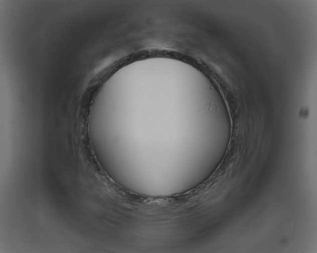 X0000093501303200710121034