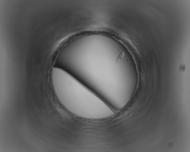 X0000093501304200710121034