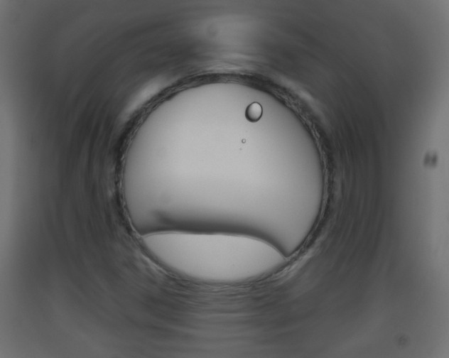 X0000093501306200710121034
