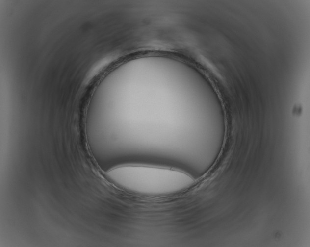 X0000093501307200710121035