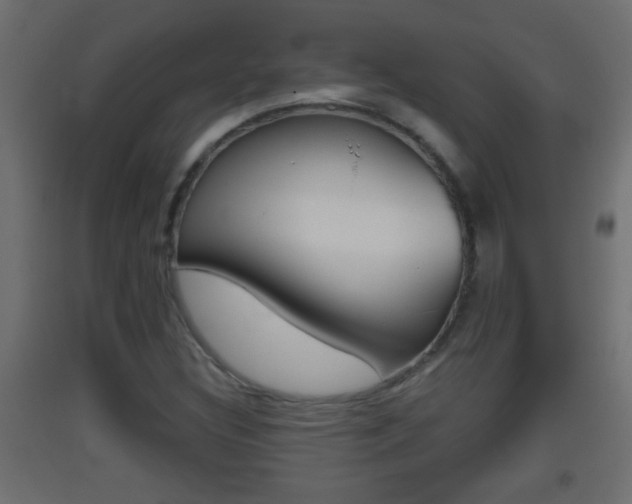 X0000093501308200710121035