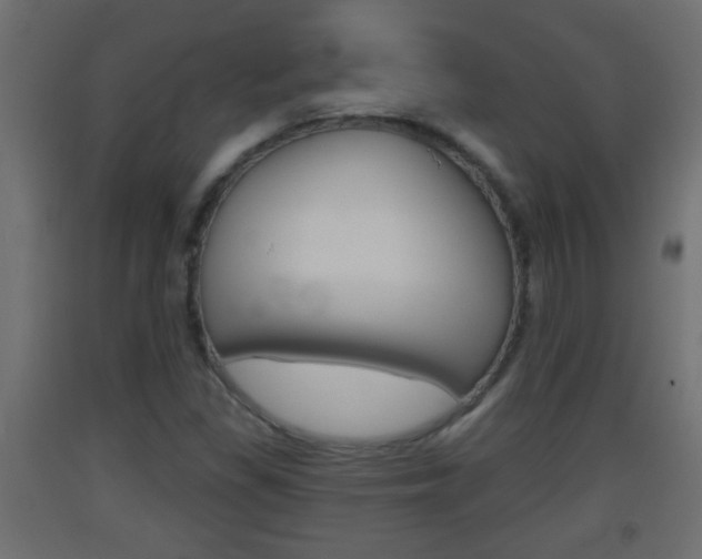 X0000093501309200710121035