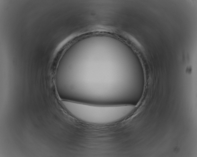 X0000093501310200710121035