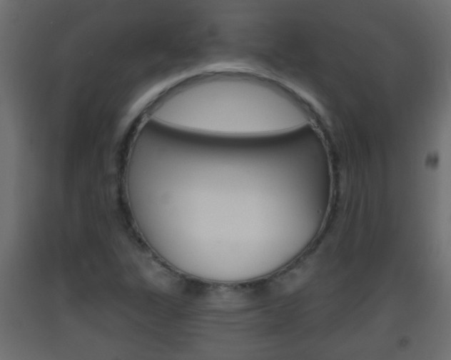 X0000093501311200710121035