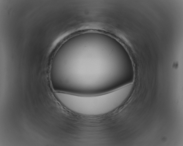 X0000093501312200710121035