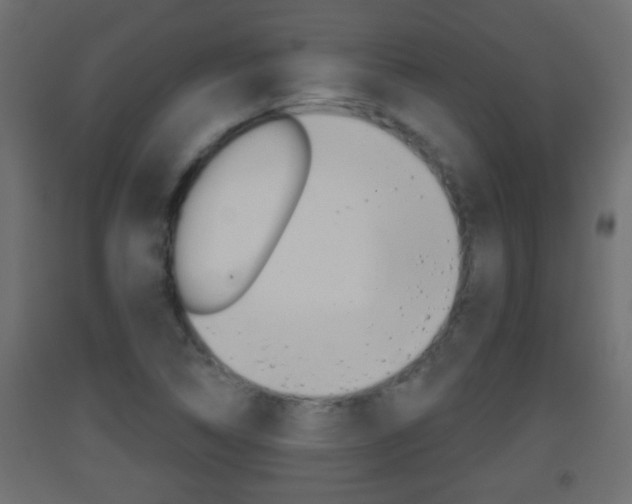 X0000093501314200710121035
