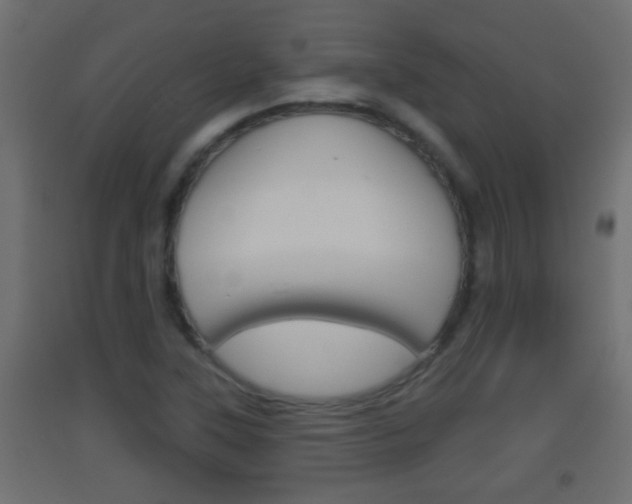 X0000093501315200710121035
