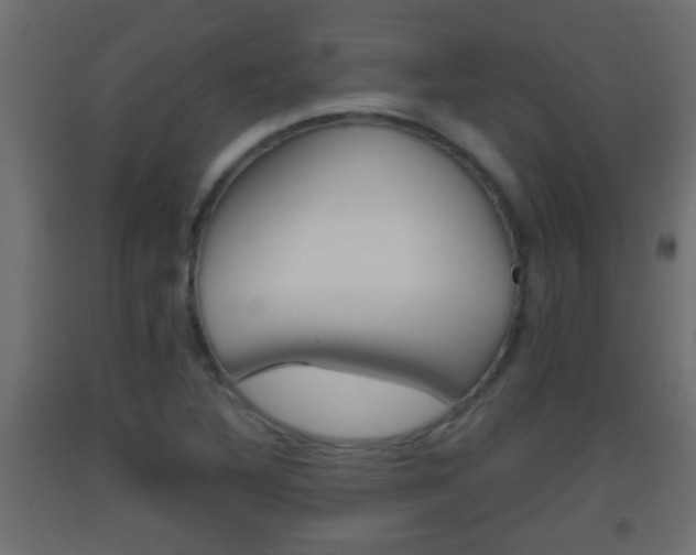 X0000093501316200710121035