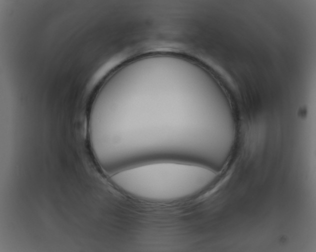 X0000093501317200710121035