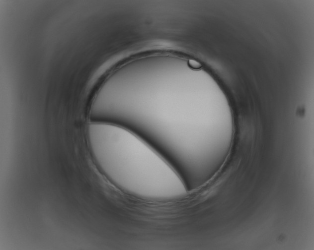X0000093501318200710121035