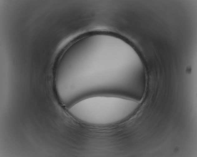 X0000093501319200710121035