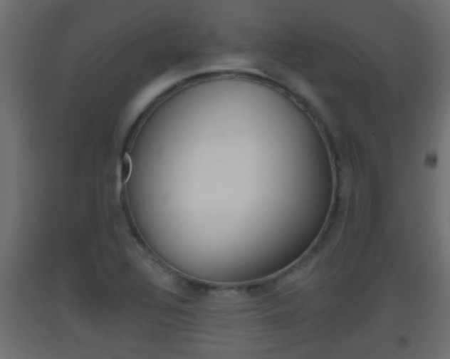 X0000093501320200710121035