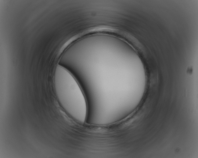 X0000093501321200710121035