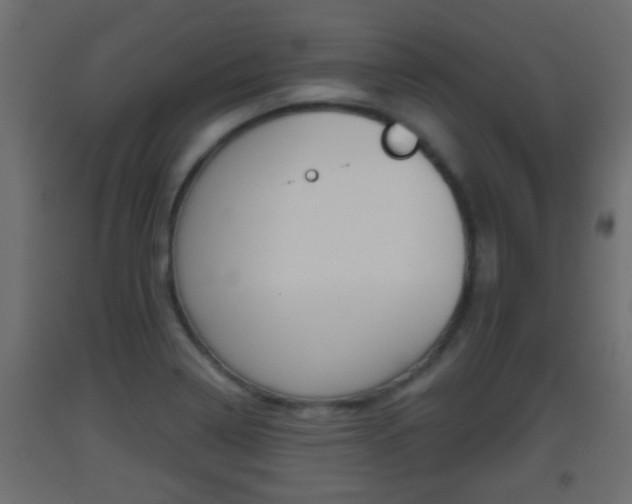 X0000093501322200710121035