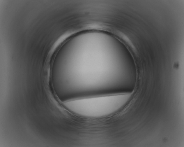 X0000093501323200710121035