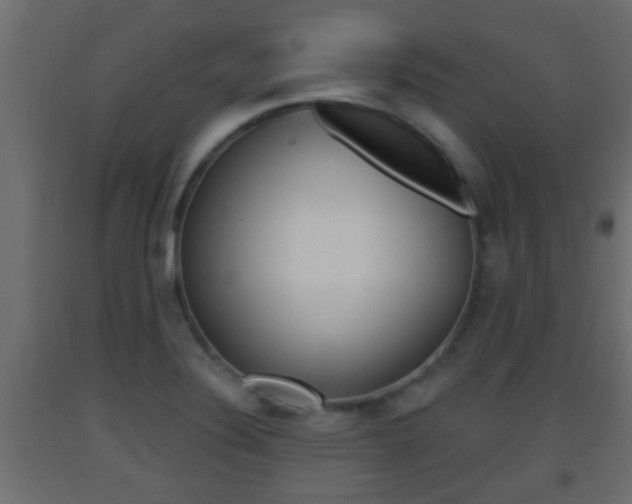 X0000093501324200710121035