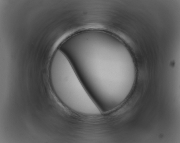 X0000093501325200710121035