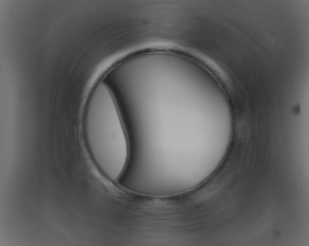 X0000093501327200710121035