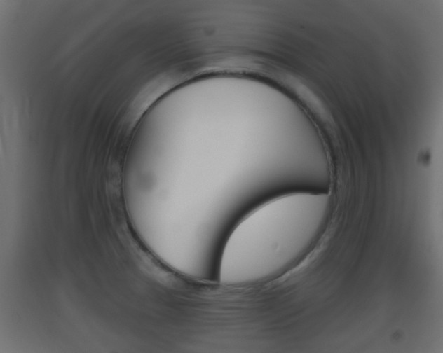 X0000093501329200710121035