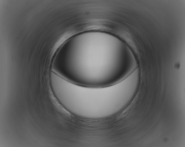 X0000093501330200710121035