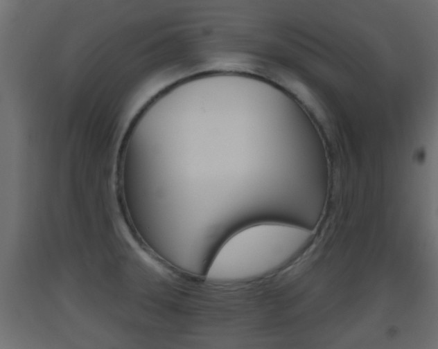 X0000093501331200710121035