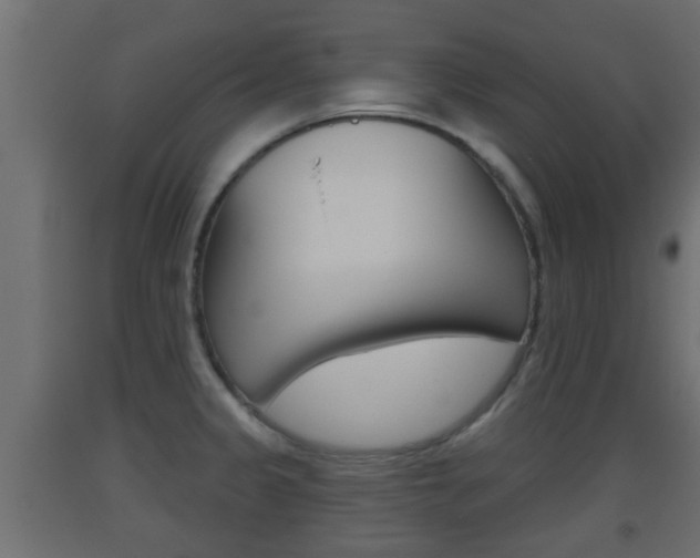 X0000093501333200710121035