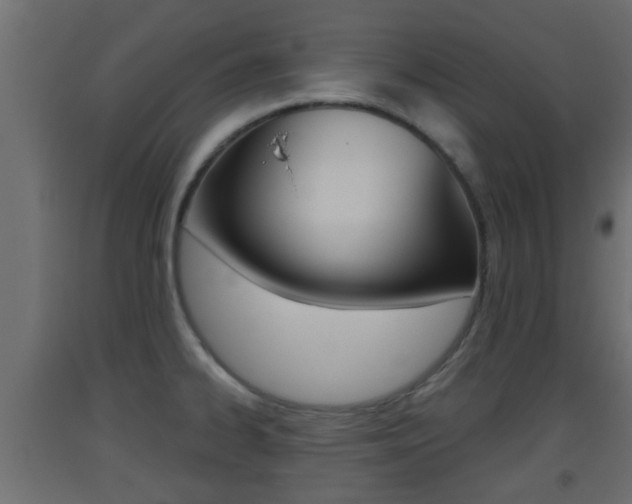 X0000093501334200710121035