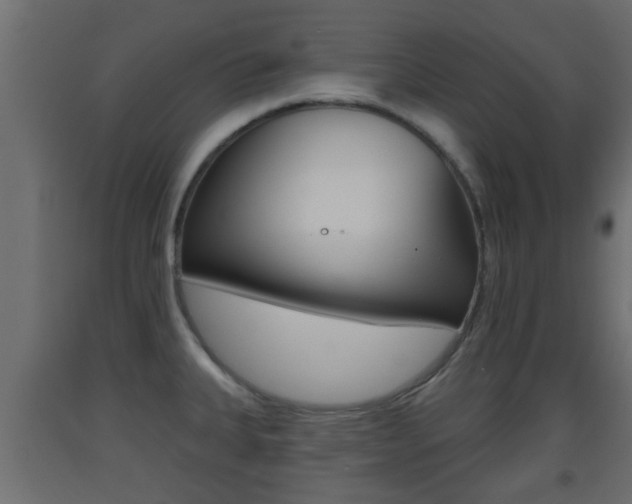 X0000093501335200710121035