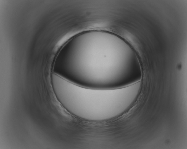 X0000093501336200710121035
