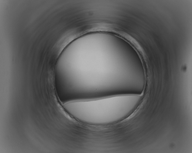 X0000093501337200710121035