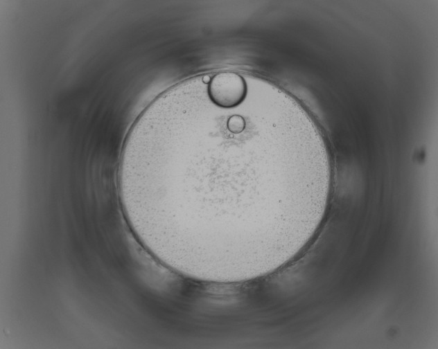 X0000093501338200710121035