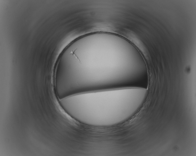 X0000093501339200710121035