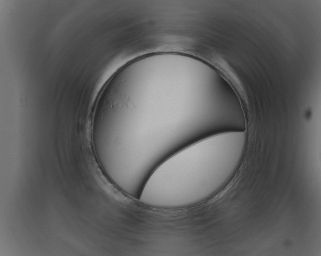 X0000093501340200710121035