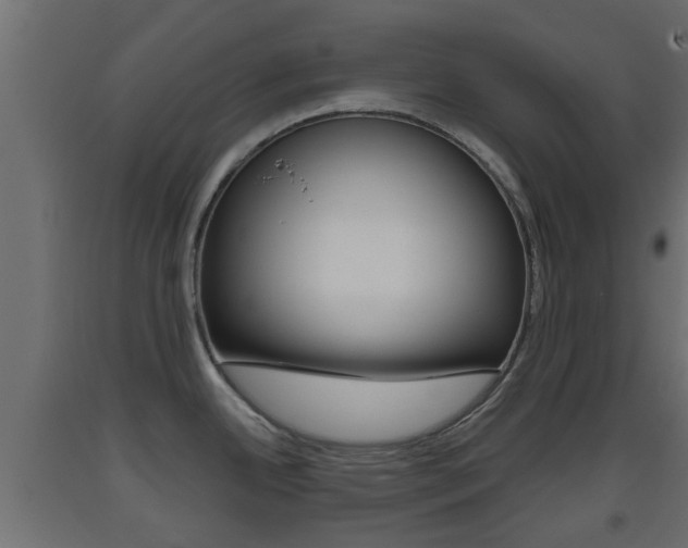 X0000093501342200710121035