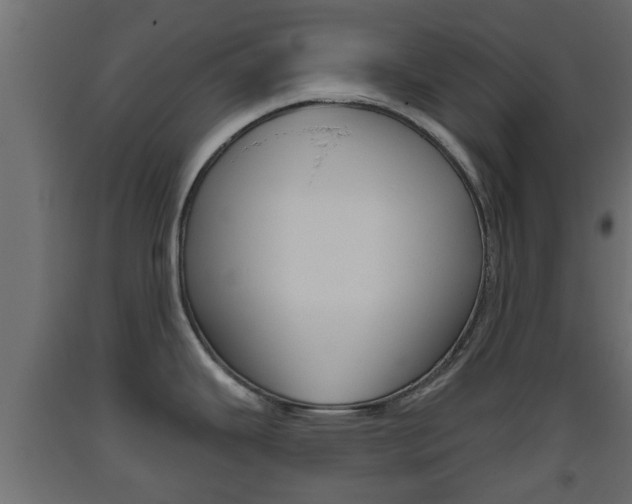 X0000093501343200710121035
