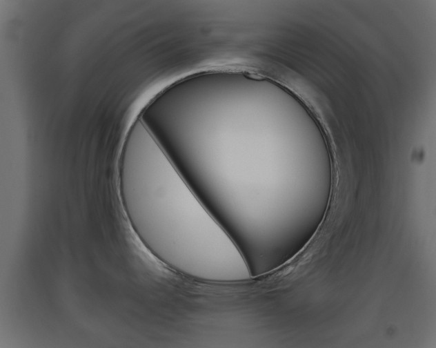 X0000093501344200710121035