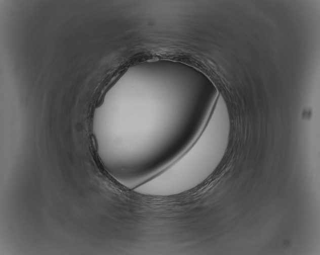 X0000093501345200710121034