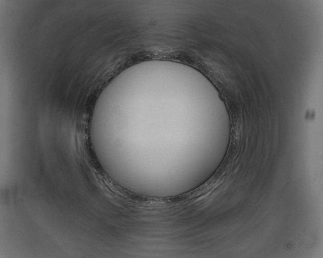 X0000093501346200710121034