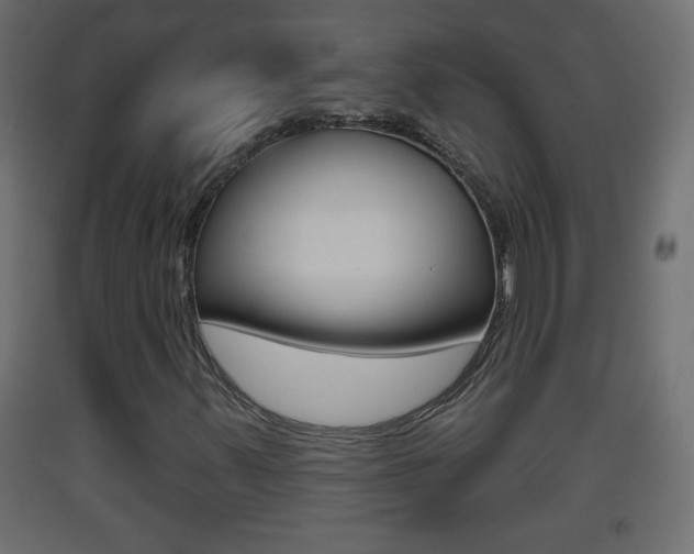 X0000093501347200710121034