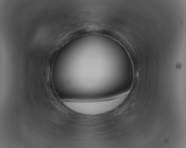 X0000093501348200710121034
