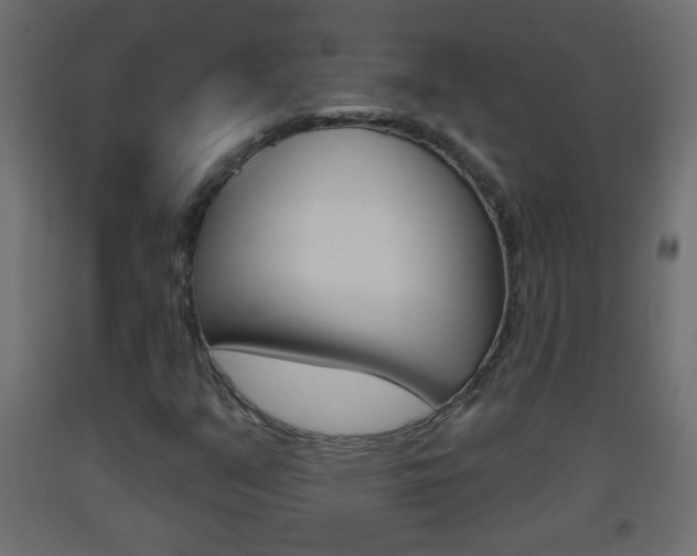 X0000093501351200710121034