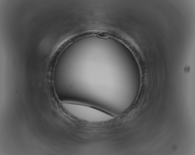 X0000093501352200710121034