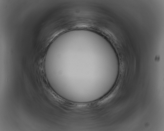 X0000093501353200710121034