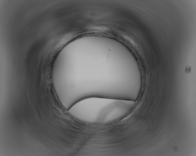 X0000093501354200710121034